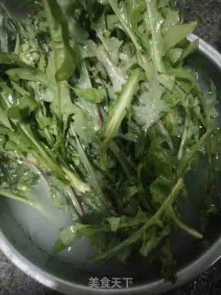 蒲公英