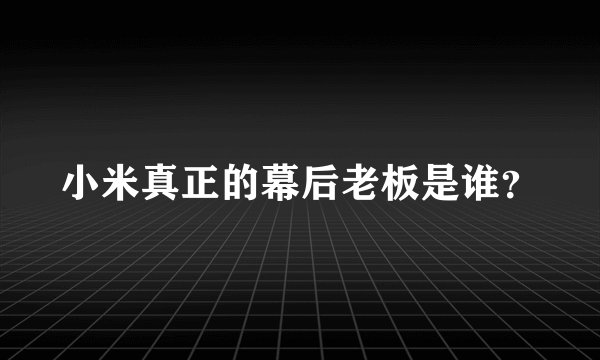 小米真正的幕后老板是谁？