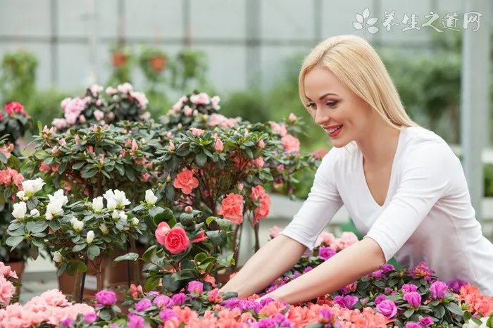 脱发用什么洗发水好