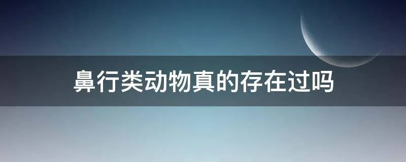 鼻行类动物真的存在过吗