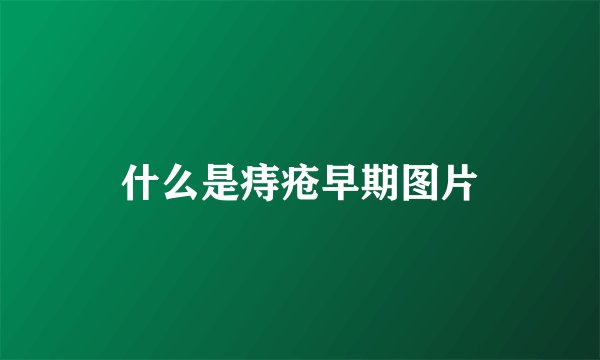 什么是痔疮早期图片