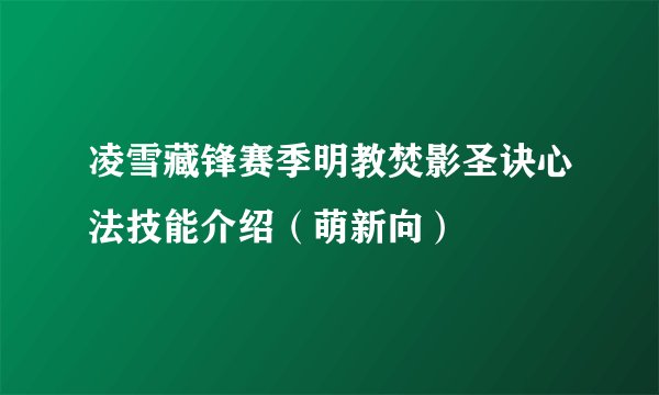 凌雪藏锋赛季明教焚影圣诀心法技能介绍(萌新向)