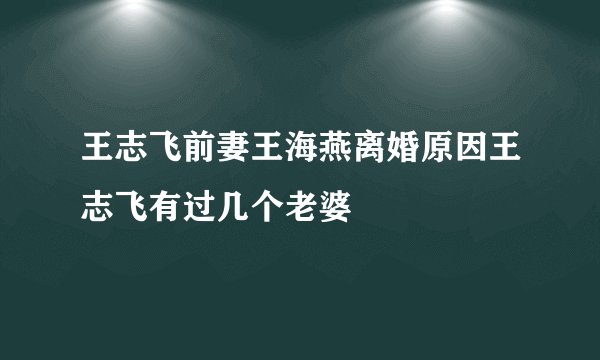 王志飞前妻王海燕离婚原因王志飞有过几个老婆