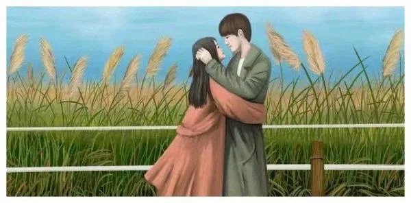 抱字组词