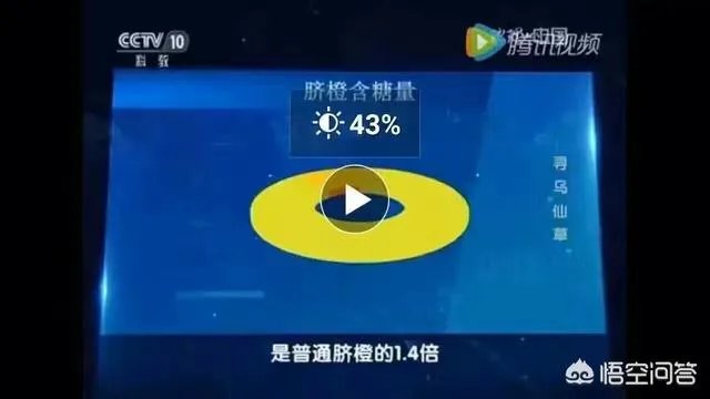 江西赣南脐橙和四川的