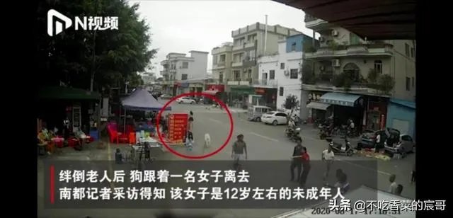 如果你是牵狗女孩,你会逃跑嘛?