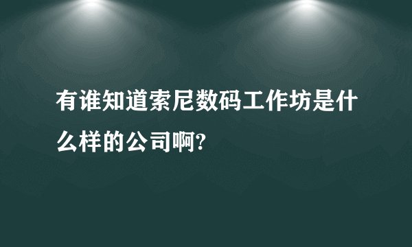 有谁知道索尼数码工作坊是什么样的公司啊?