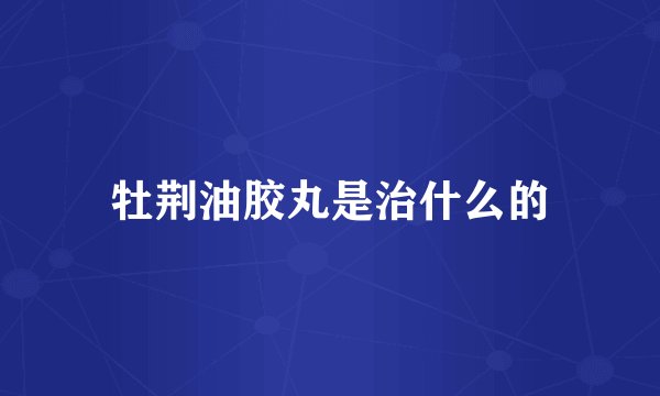 牡荆油胶丸是治什么的