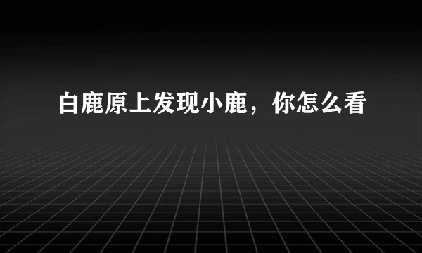 白鹿原上发现小鹿，你怎么看