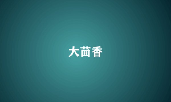 大茴香
