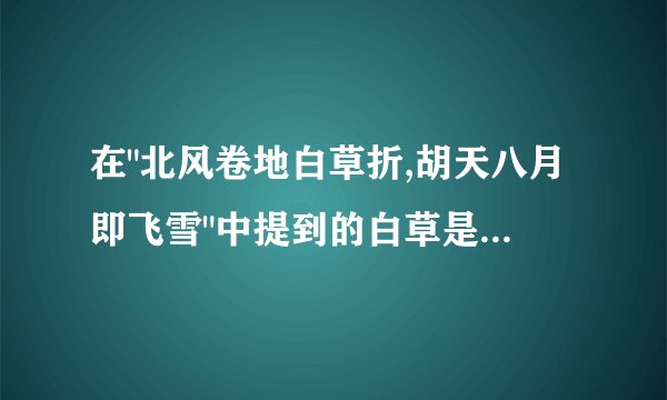 在