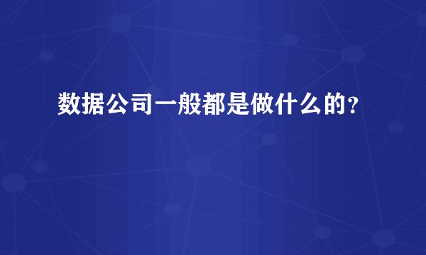 数据公司一般都是做什么的？