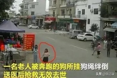 如果你是牵狗女孩,你会逃跑嘛?
