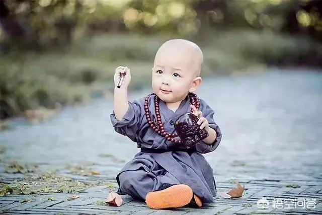 你的职场成长历程是怎样的?