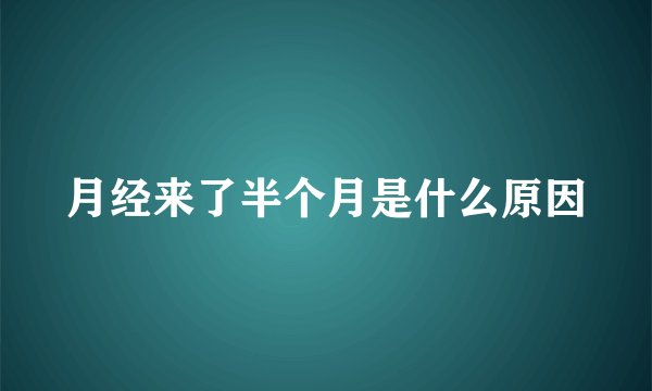 月经来了半个月是什么原因