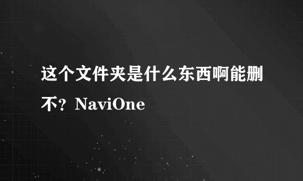 这个文件夹是什么东西啊能删不？NaviOne