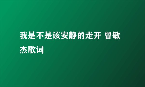 我是不是该安静的走开 曾敏杰歌词