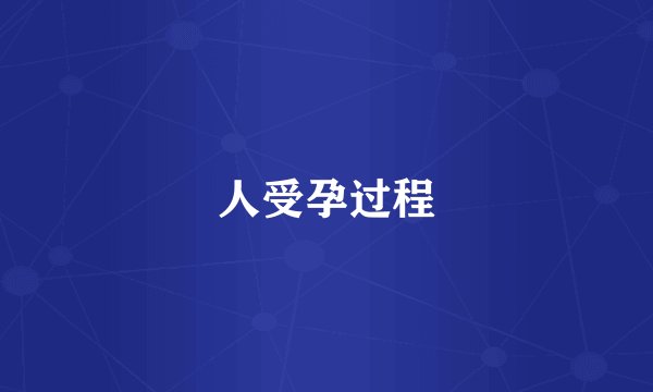 人受孕过程