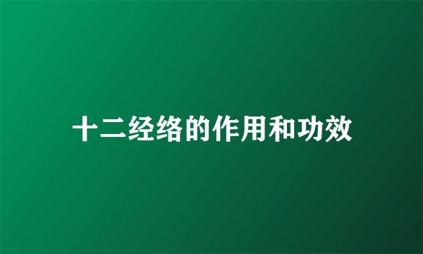 十二经络的作用和功效