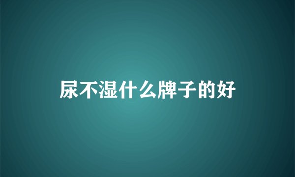 尿不湿什么牌子的好