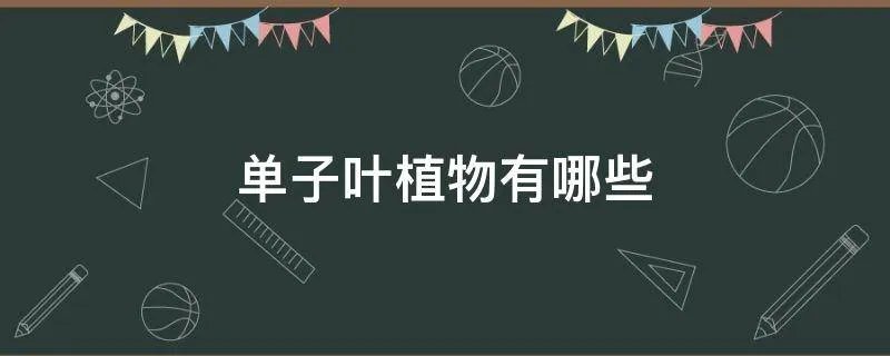 单子叶植物有哪些