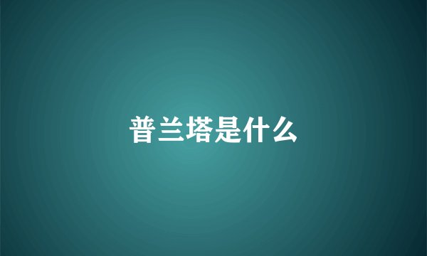 普兰塔是什么
