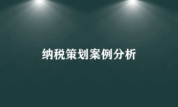 纳税策划案例分析