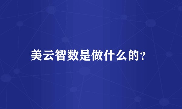美云智数是做什么的？
