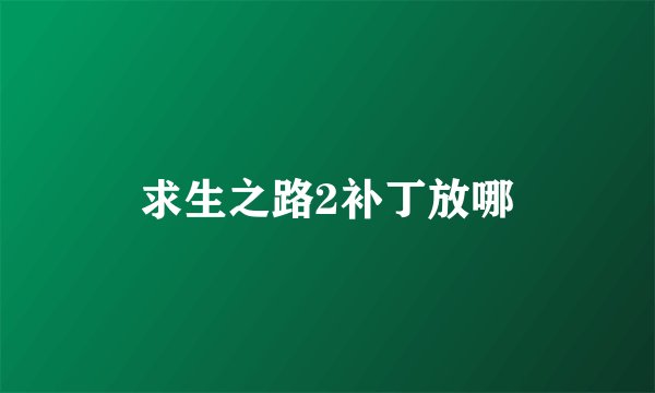 求生之路2补丁放哪