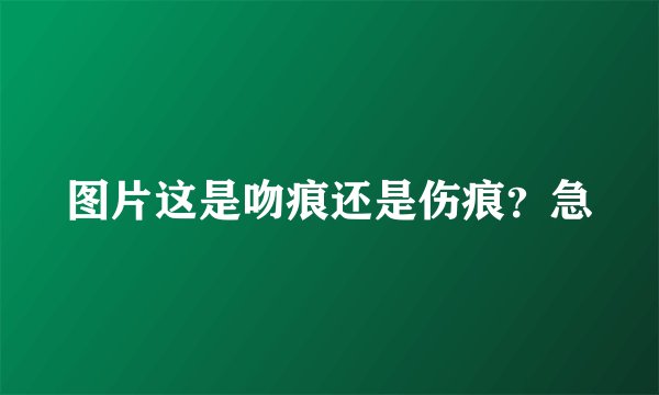 图片这是吻痕还是伤痕？急