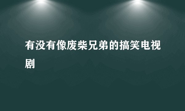 有没有像废柴兄弟的搞笑电视剧