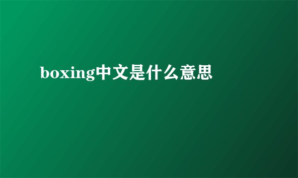 boxing中文是什么意思