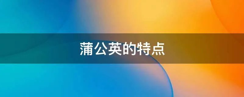 蒲公英的特点