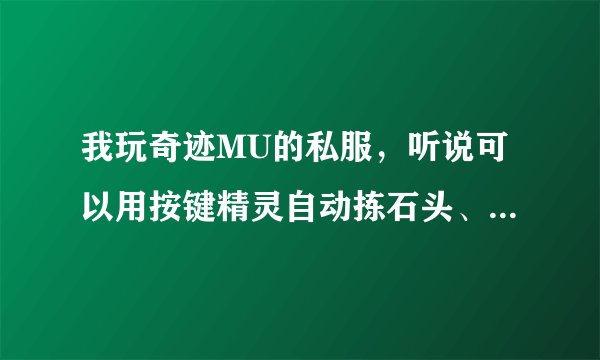 我玩奇迹MU的私服，听说可以用按键精灵自动拣石头、羽毛。请教如何做到？最好能具体一点~~