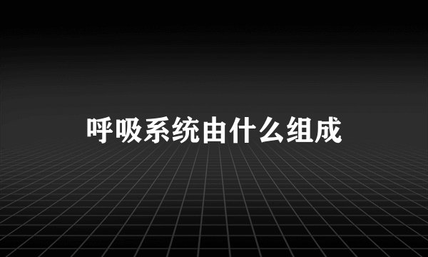 呼吸系统由什么组成