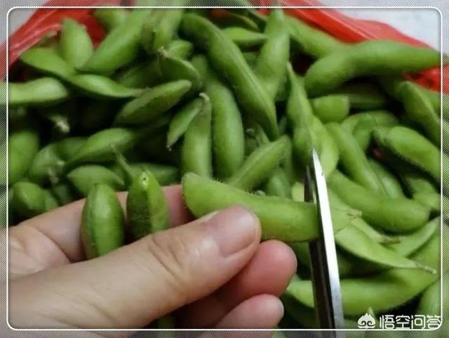 煮毛豆怎么做？
