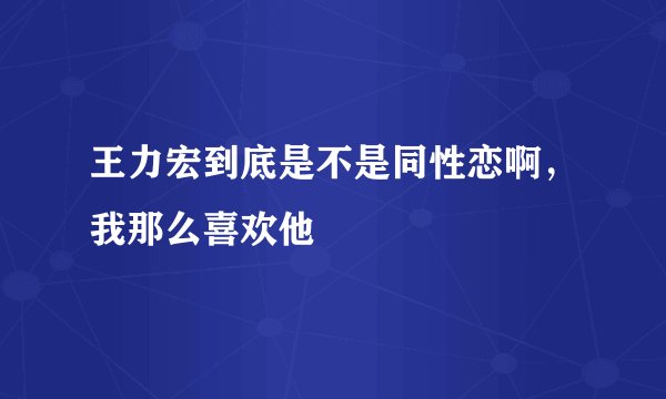 王力宏到底是不是同性恋啊，我那么喜欢他