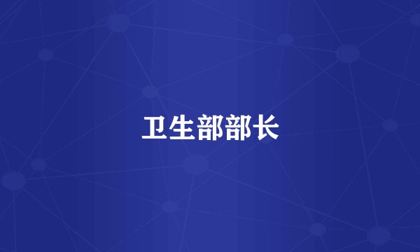 卫生部部长