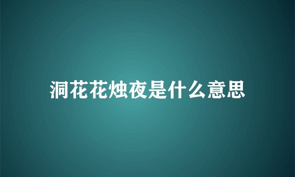 洞花花烛夜是什么意思