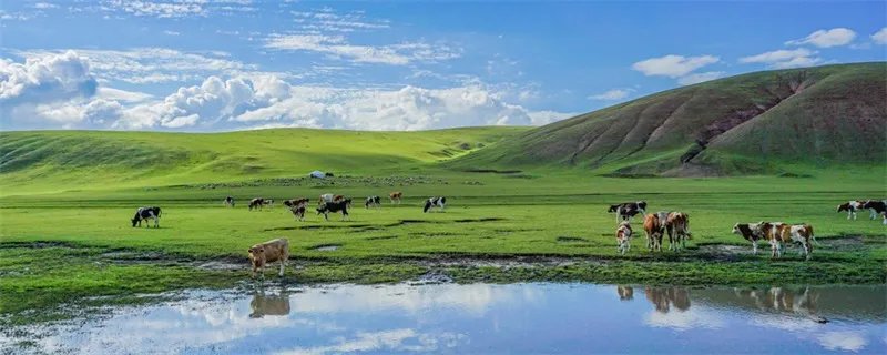 蒙古族的风俗习惯有哪些 蒙古族有哪些风俗习惯