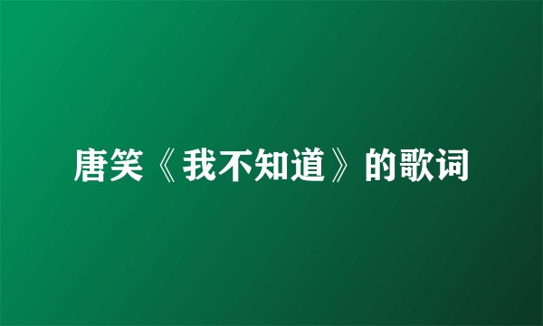 唐笑《我不知道》的歌词