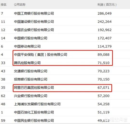 中国最大的私人企业?