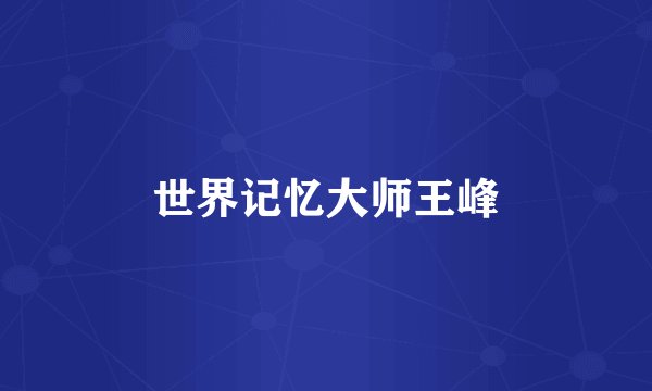 世界记忆大师王峰