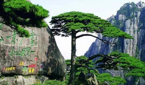 中国的名山大川都有哪些?