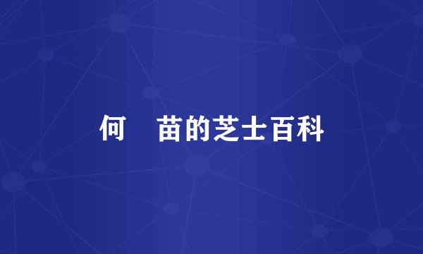 何　苗的芝士百科