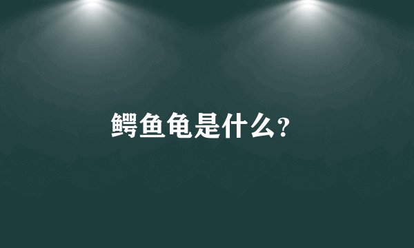 鳄鱼龟是什么？
