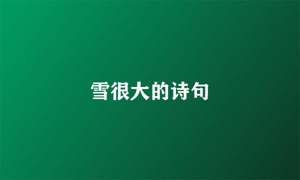 雪很大的诗句