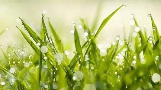润物细无声 磐石无转移，什么意思?求完整解释~