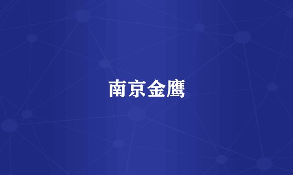 南京金鹰