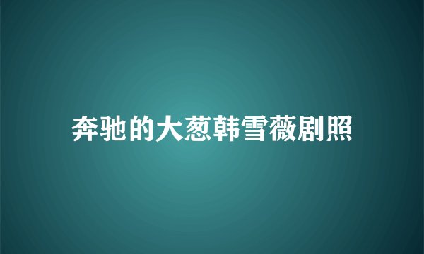 奔驰的大葱韩雪薇剧照